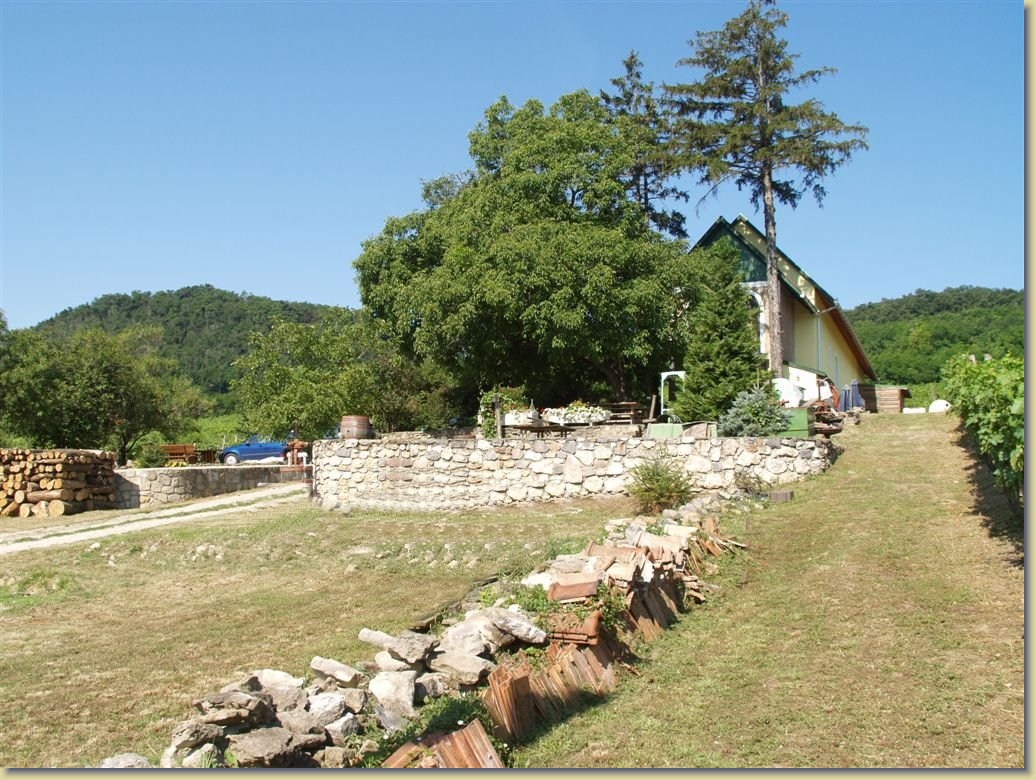 szigliget_guns1