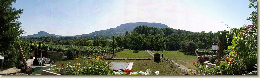 szigliget_guns1